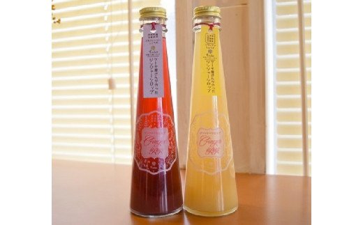 【上毛町産ブルーベリー＆レモン使用】ジンジャーシロップ 2本セット　KT0302