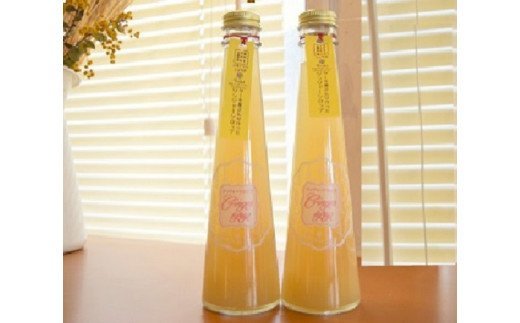 【上毛町産レモン使用】ジンジャーシロップ　2本セット　KT0402