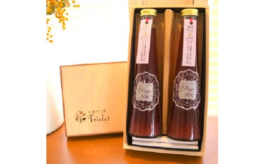 【上毛町産ブルーベリー使用】ジンジャーシロップ 2本セット　KT0502