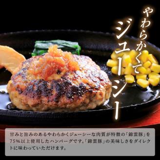 【ブランド豚肉】お米育ちの錦雲豚　お肉屋さんの手作りハンバーグ１０個　FN0802