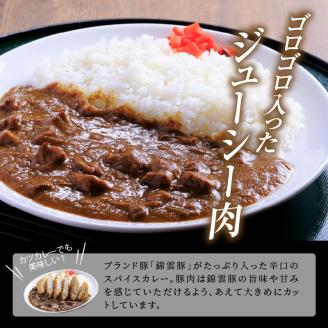 【ブランド豚肉】お米育ちの錦雲豚　お肉ゴロゴロ！ポークカレー（辛口）6食　FN1102