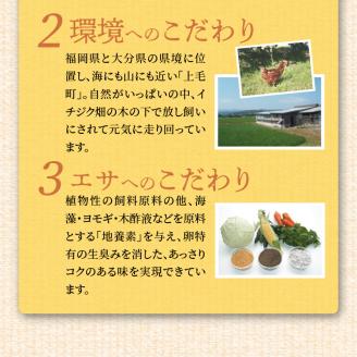 【定期便】放し飼い「かぐやひめ」120個　6回（隔月）コース 06T-003