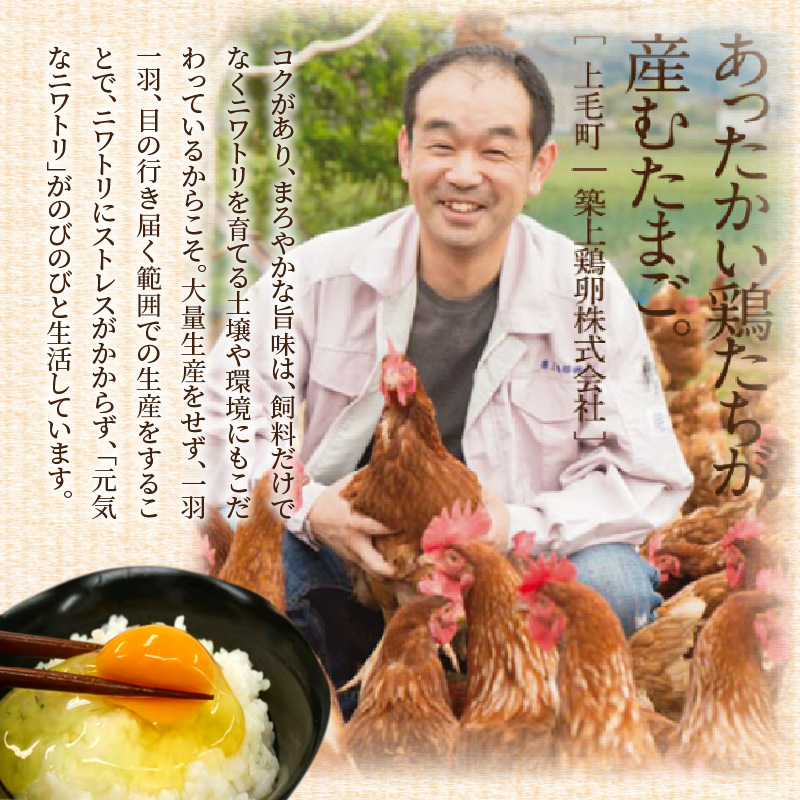 放し飼いたまご『かぐやひめ』70個【福岡上毛町産】　C00801