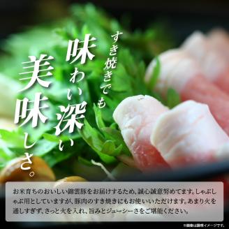 【ブランド豚肉】お米育ちの錦雲豚ギフト（しゃぶしゃぶ用1kg）とハム類のセット　FN0301