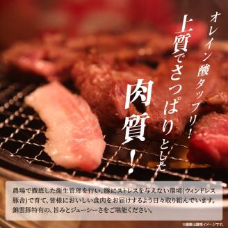 【ブランド豚肉】お米育ちの錦雲豚　ご自宅用2.3kgセット　FN0501