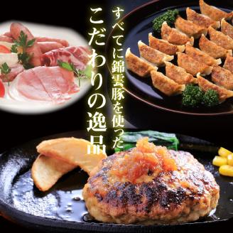 【ブランド豚肉】お米育ちの錦雲豚バラエティギフト（ハム類・餃子・ハンバーグ・カレーのセット）　FN0601