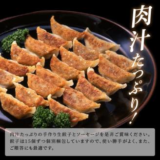 【ブランド豚肉】お米育ちの錦雲豚　手作り生餃子60個（ソーセージ1パック付き）　FN0702