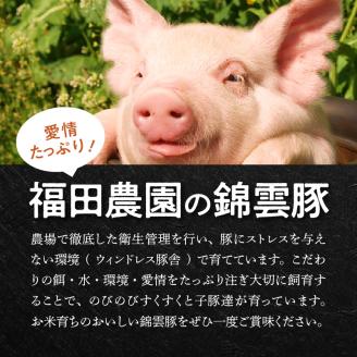 【ブランド豚肉】お米育ちの「錦雲豚」　ロース生ハム　3パック　FN1305