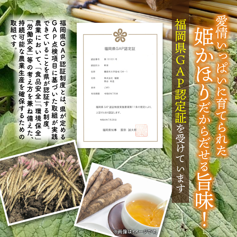 「姫かおり」 焙煎 ごぼう茶 500ml × 24本　K04003