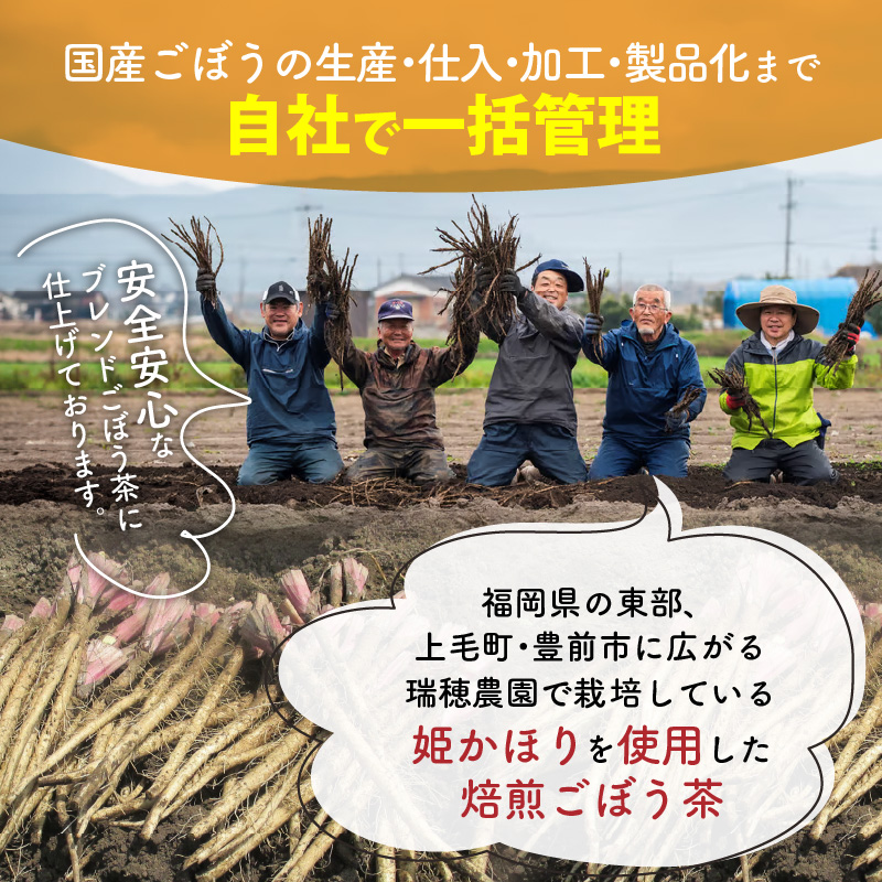 「姫かほり」 ごぼう茶 ティーバッグ & 焙煎ごぼう茶 粉末タイプ　K04103