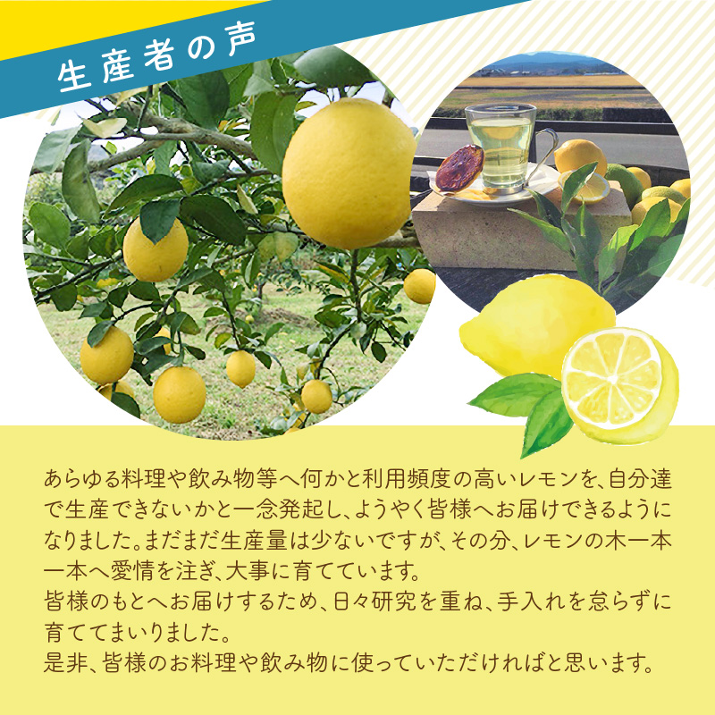 上毛町産レモン 訳ありB級品 2kg K06306