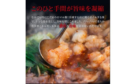 ぶどうの樹　もつ鍋　てっちゃん風　国産牛ロース付き【2～4人前】KG0104