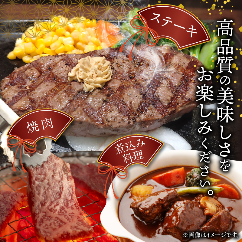 博多和牛 ミスジブロック 1ポンド（約450g） KY5106