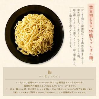 博多芳々亭　肉肉もつ鍋　4人前（辛味噌味）KYY0604