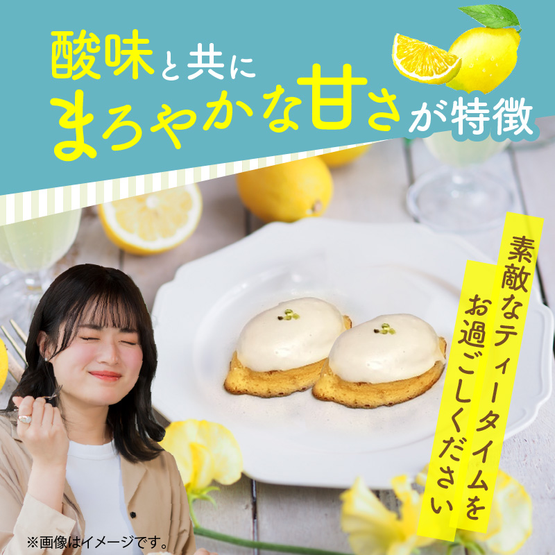 【ナチュラルファーム菓樹】レモンケーキ 10個（5個入×2箱）～上毛町産レモン使用～  NK1106