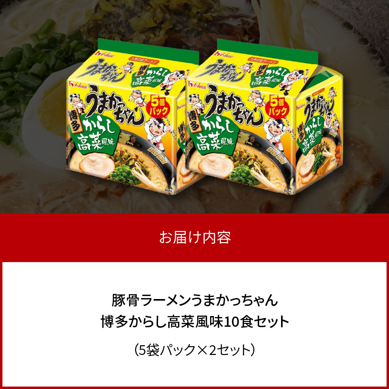 豚骨ラーメン うまかっちゃん 博多からし高菜風味 10食セット（5袋パック×2セット） PC8606