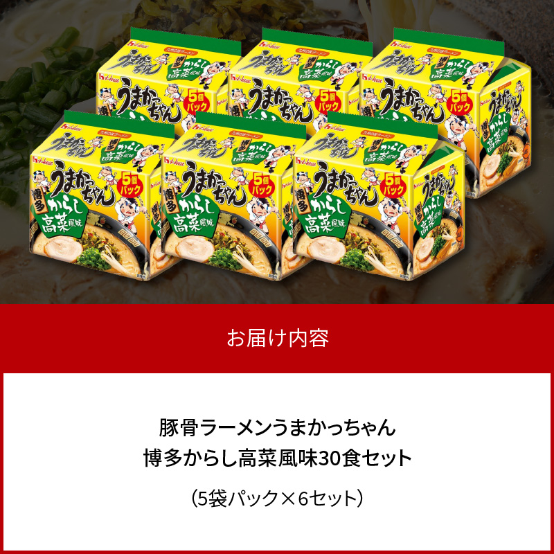 豚骨ラーメン うまかっちゃん 博多からし高菜風味 30食セット（5袋パック×6セット） PC8706