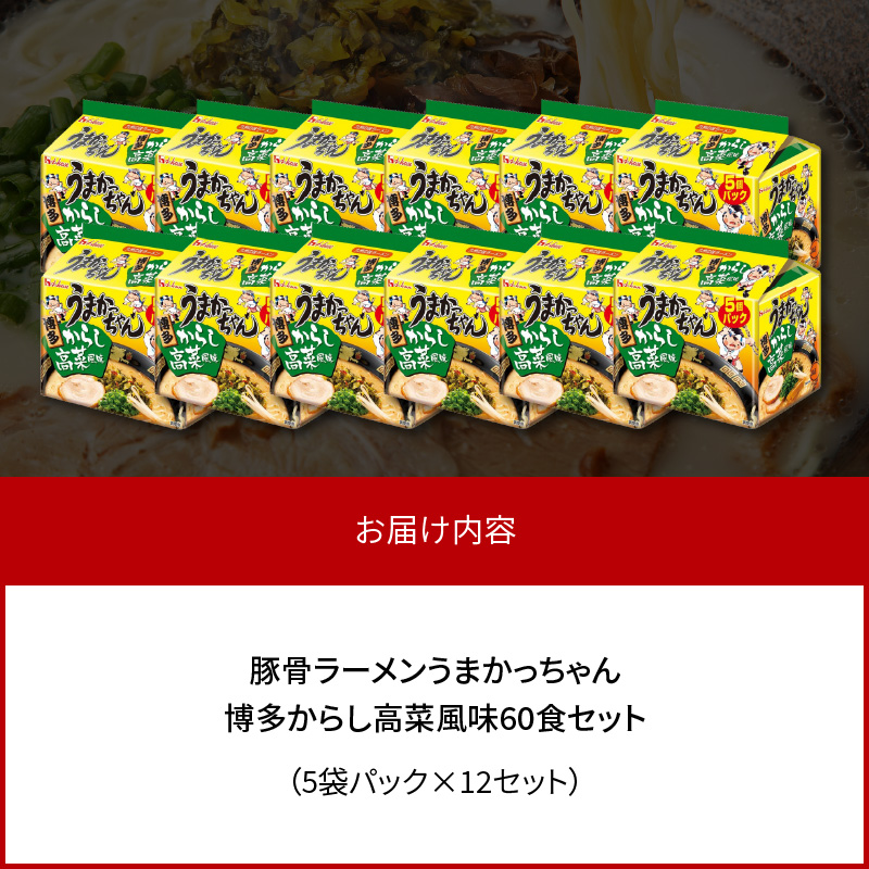 豚骨ラーメン うまかっちゃん 博多からし高菜風味 60食セット（5袋パック×12セット） PC8806