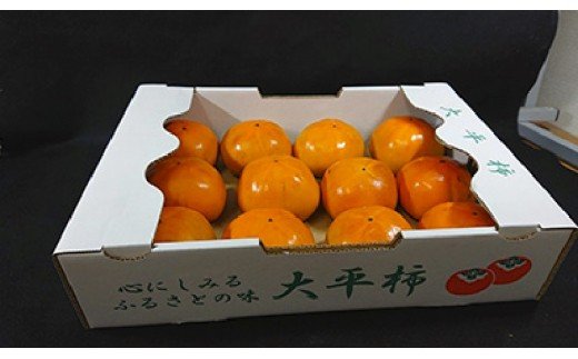 旬の味覚「大平柿」6kg 　T03401