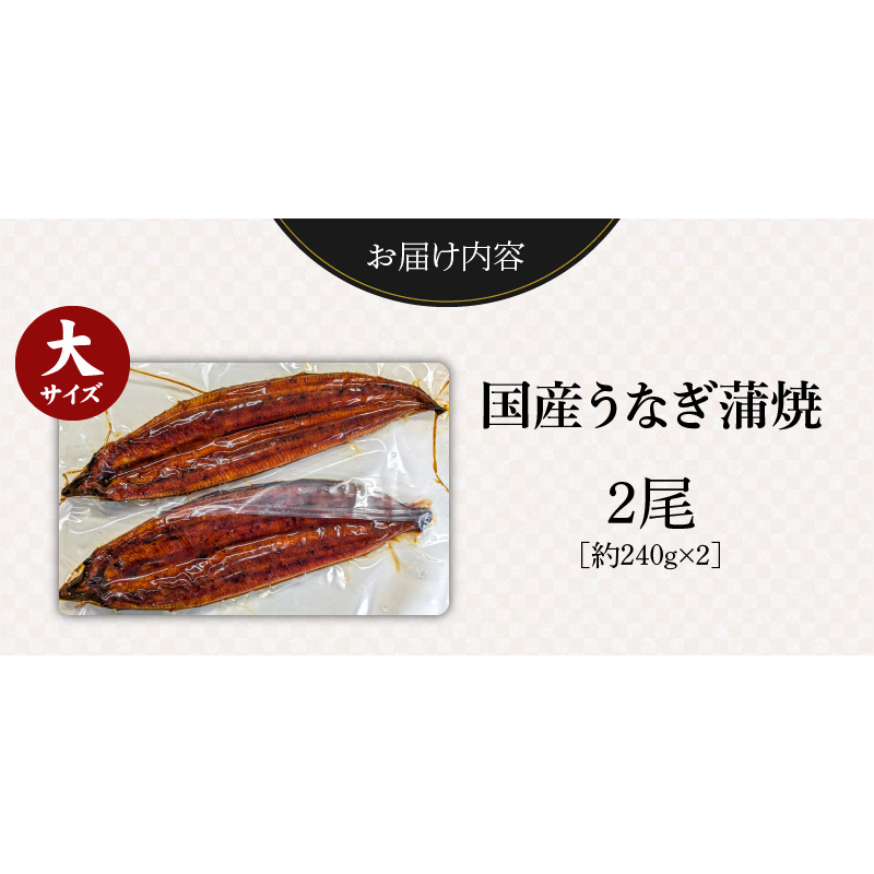 国産うなぎの蒲焼き　大サイズ×2尾 T08106
