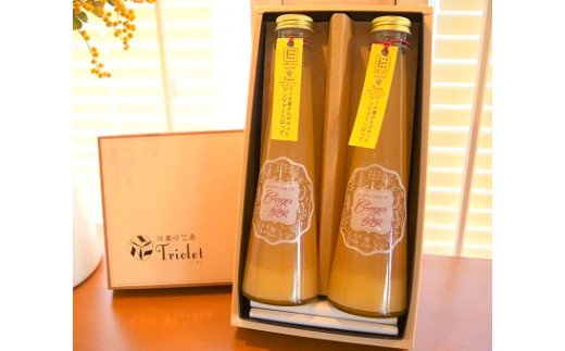 【上毛町産レモン使用】ジンジャーシロップ　2本セット　KT0402