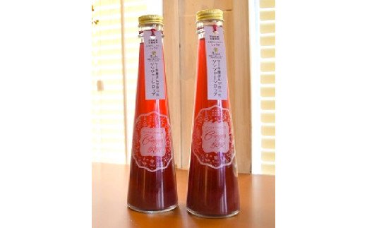 【上毛町産ブルーベリー使用】ジンジャーシロップ 2本セット　KT0502