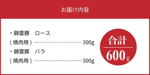 【ブランド豚肉】お米育ちの錦雲豚　焼肉ギフト　600g（ロース300g・バラ300g）　FN0201