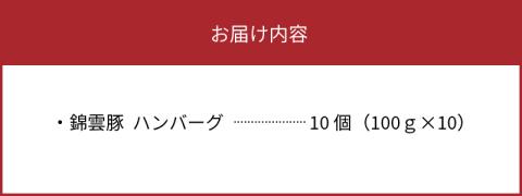 【ブランド豚肉】お米育ちの錦雲豚　お肉屋さんの手作りハンバーグ１０個　FN0802