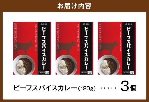 ビーフスパイスカレー3個セット T07205