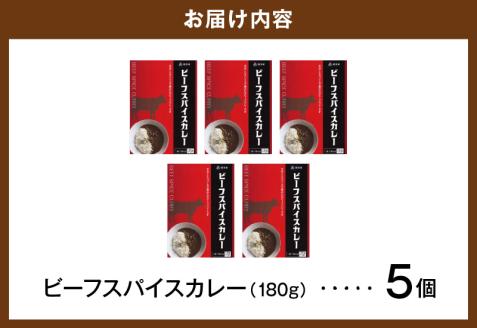 ビーフスパイスカレー5個セット T07305