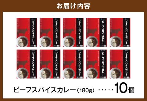 ビーフスパイスカレー10個セット T07405