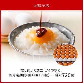 【定期便】放し飼い「かぐやひめ」120個　6回（隔月）コース 06T-003