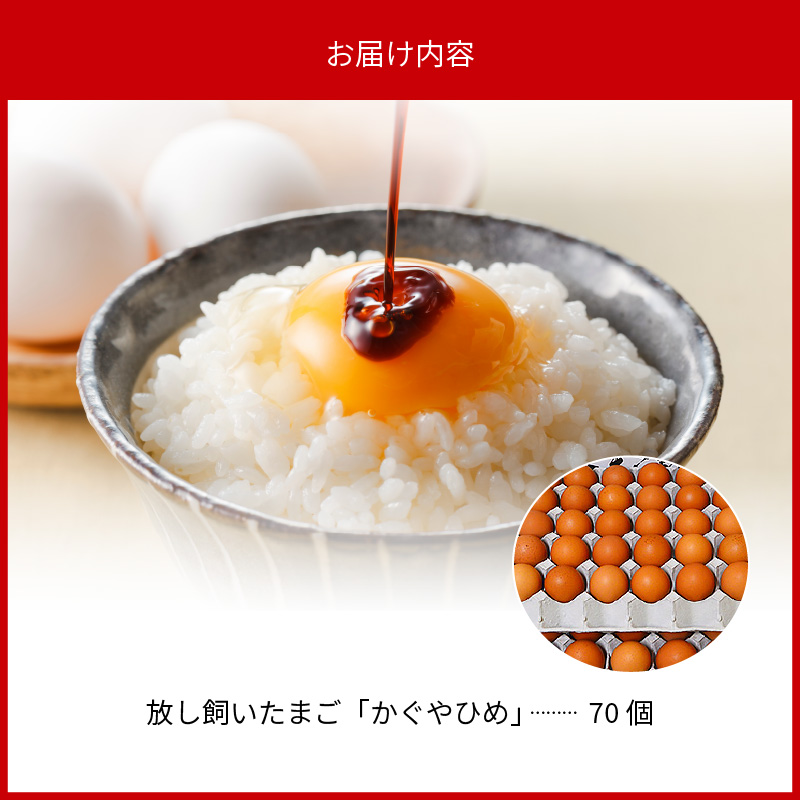 放し飼いたまご『かぐやひめ』70個【福岡上毛町産】　C00801