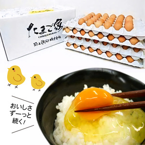 かぐやひめ「初たまご」40個【福岡上毛町産】C01604