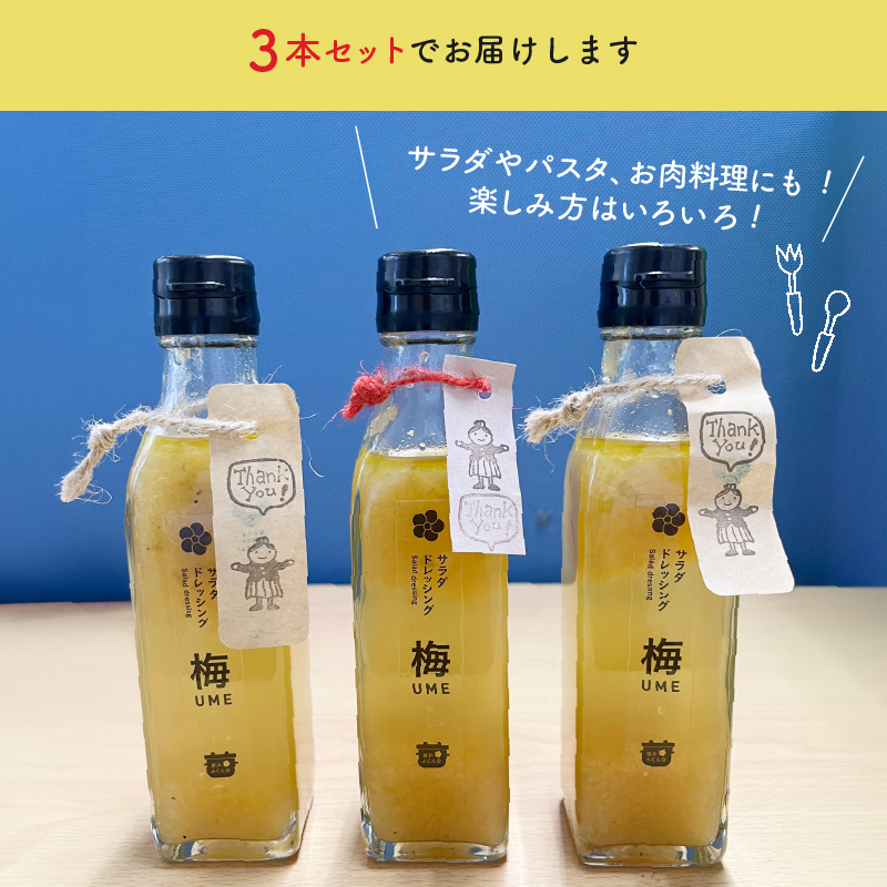 無添加手作り 梅サラダドレッシング（200ml×3本） 　K02402