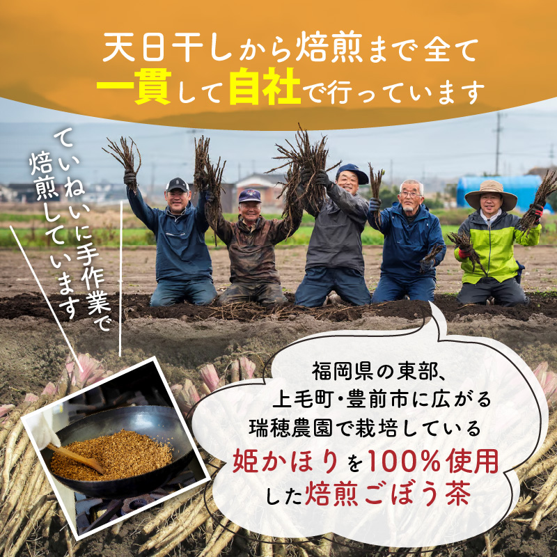 「姫かおり」 焙煎 ごぼう茶 500ml × 24本　K04003