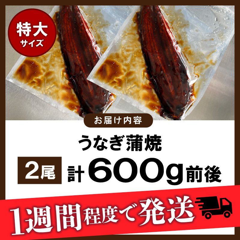 うなぎの蒲焼ビッグサイズ　2尾（計600g前後）K04705