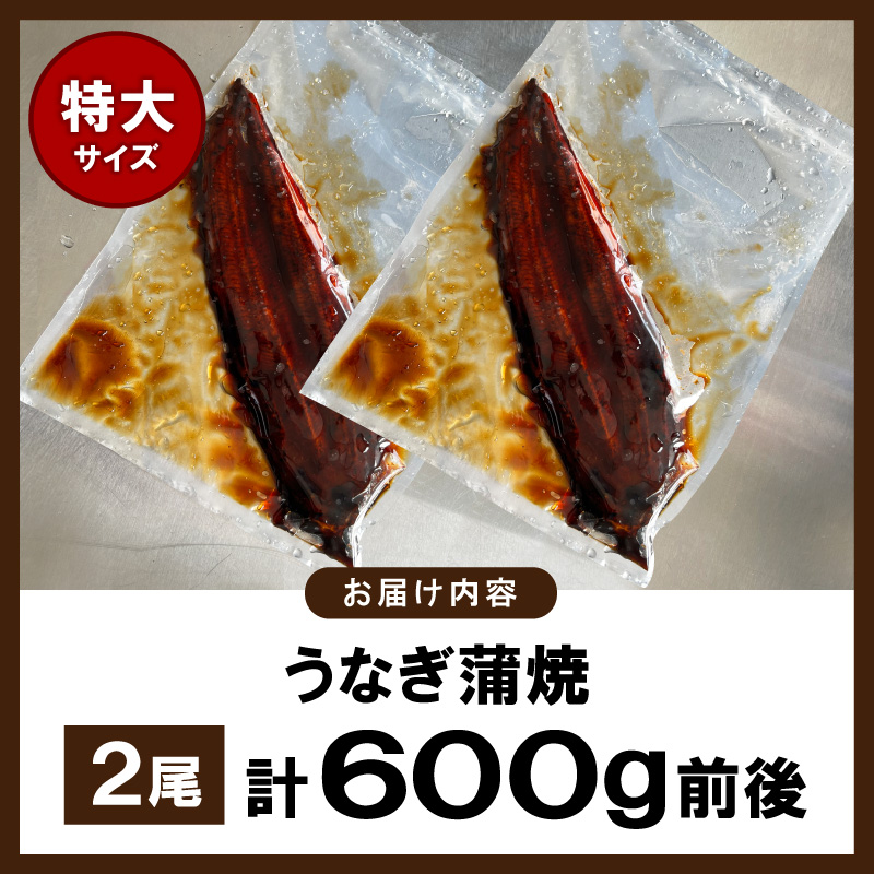 うなぎの蒲焼ビッグサイズ　2尾（計600g前後）K04705