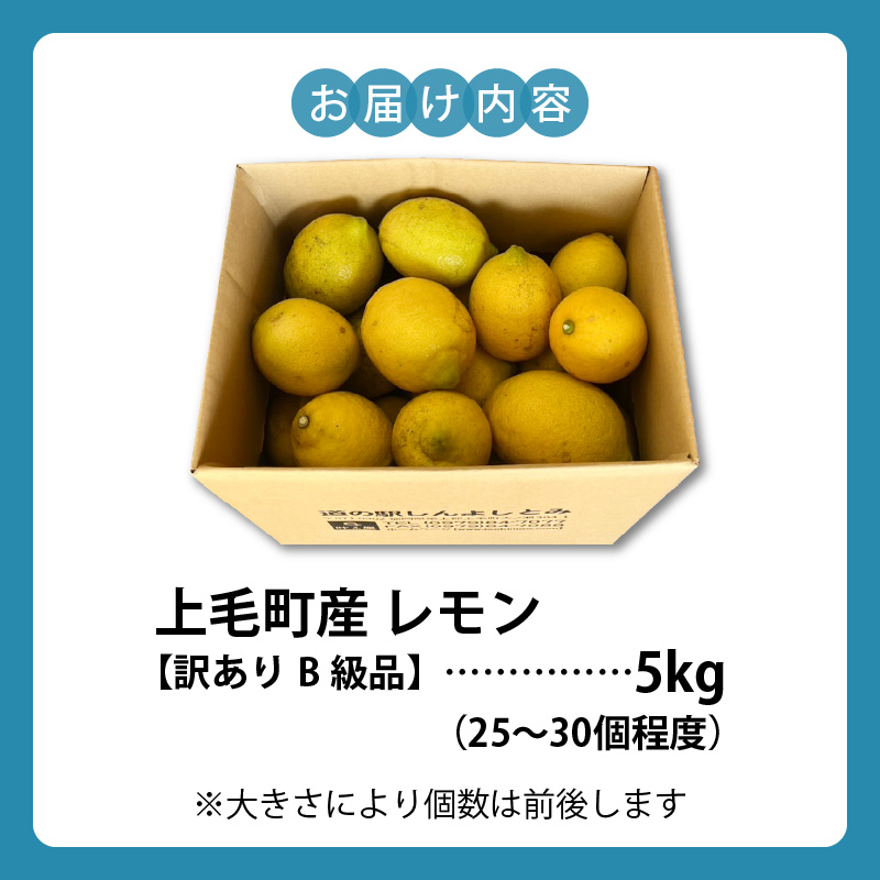 上毛町産レモン 訳ありB級品 5kg K06406