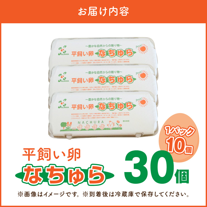平飼い卵 なちゅら 30個 KJF0106