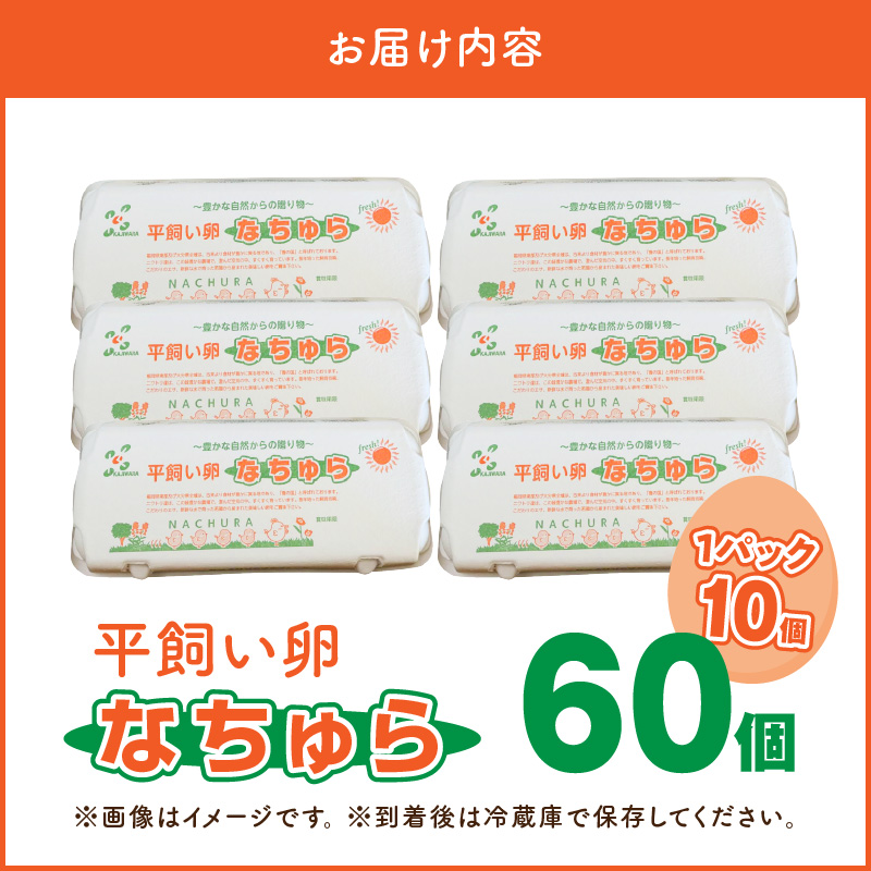 平飼い卵 なちゅら 60個 KJF0206