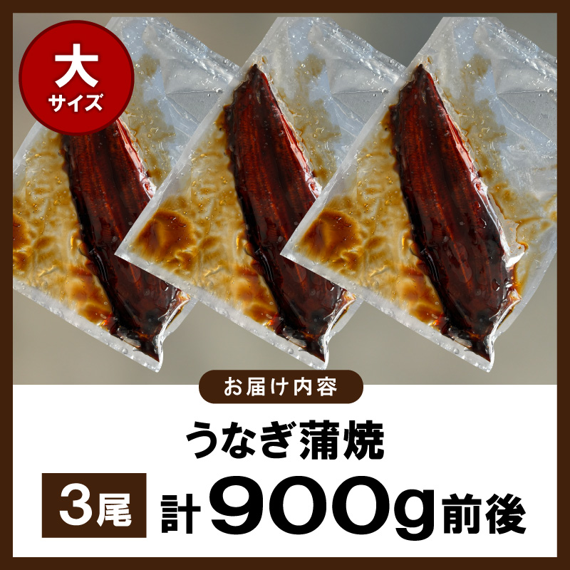 うなぎの蒲焼ビッグサイズ 3尾（計900g前後） KP9306