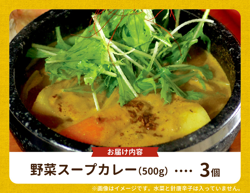 【ナチュラルファーム菓樹】農園野菜スープカレー 3個セット NK0106