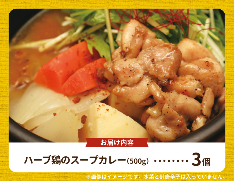【ナチュラルファーム菓樹】農園野菜とハーブ鶏のスープカレー 3個セット NK0306