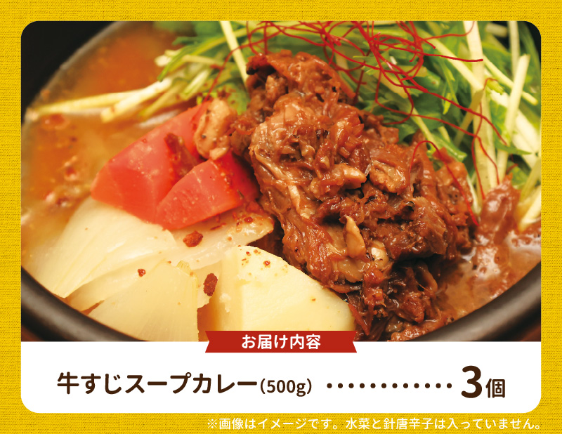 【ナチュラルファーム菓樹】牛すじスープカレー 3個セット NK0406