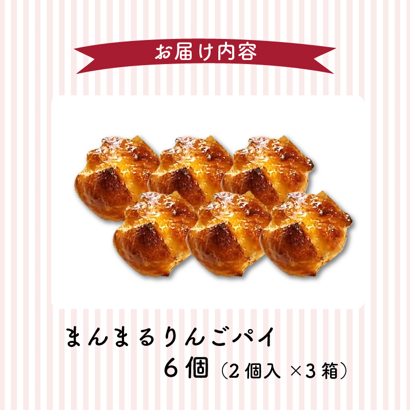 【ナチュラルファーム菓樹】まんまるりんごパイ 6個（2個入×3箱） NK1206