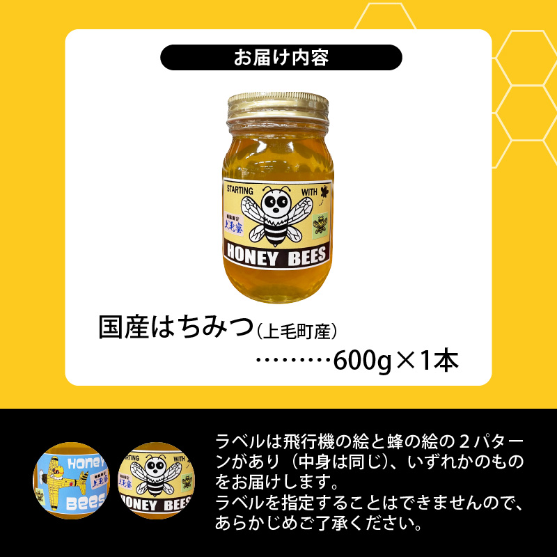 国産はちみつ（上毛町産）600g×1本 T07606