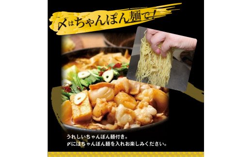 やまや　博多もつ鍋　こく味噌味（3～4人前）　TY1001