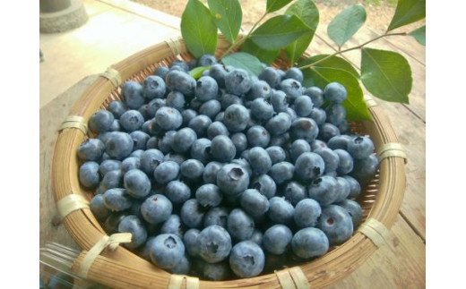 【上毛町産ブルーベリー＆レモン使用】ジンジャーシロップ 2本セット　KT0302