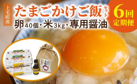 【定期便】上毛町産の「たまごかけご飯セット」（卵40個・米3kg・専用醤油）6回（毎月）コース　06T-007
